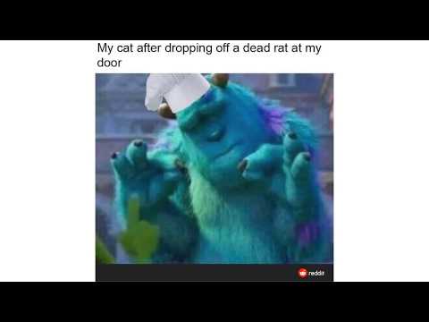 SULLY MEME COMPILATION 