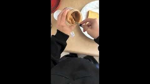 SPCE 683 Video Modeling Pt 2