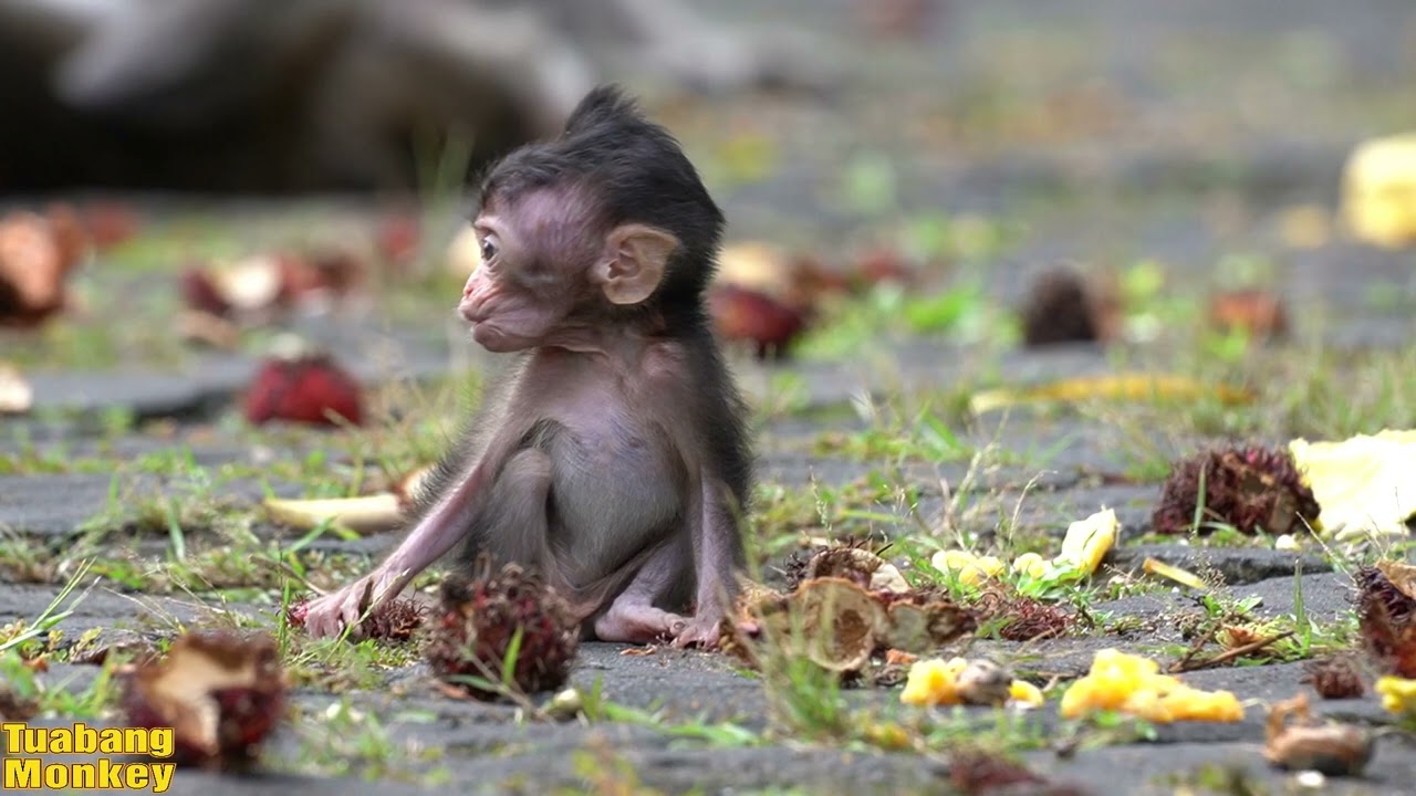 Потерянная мама на обеде 