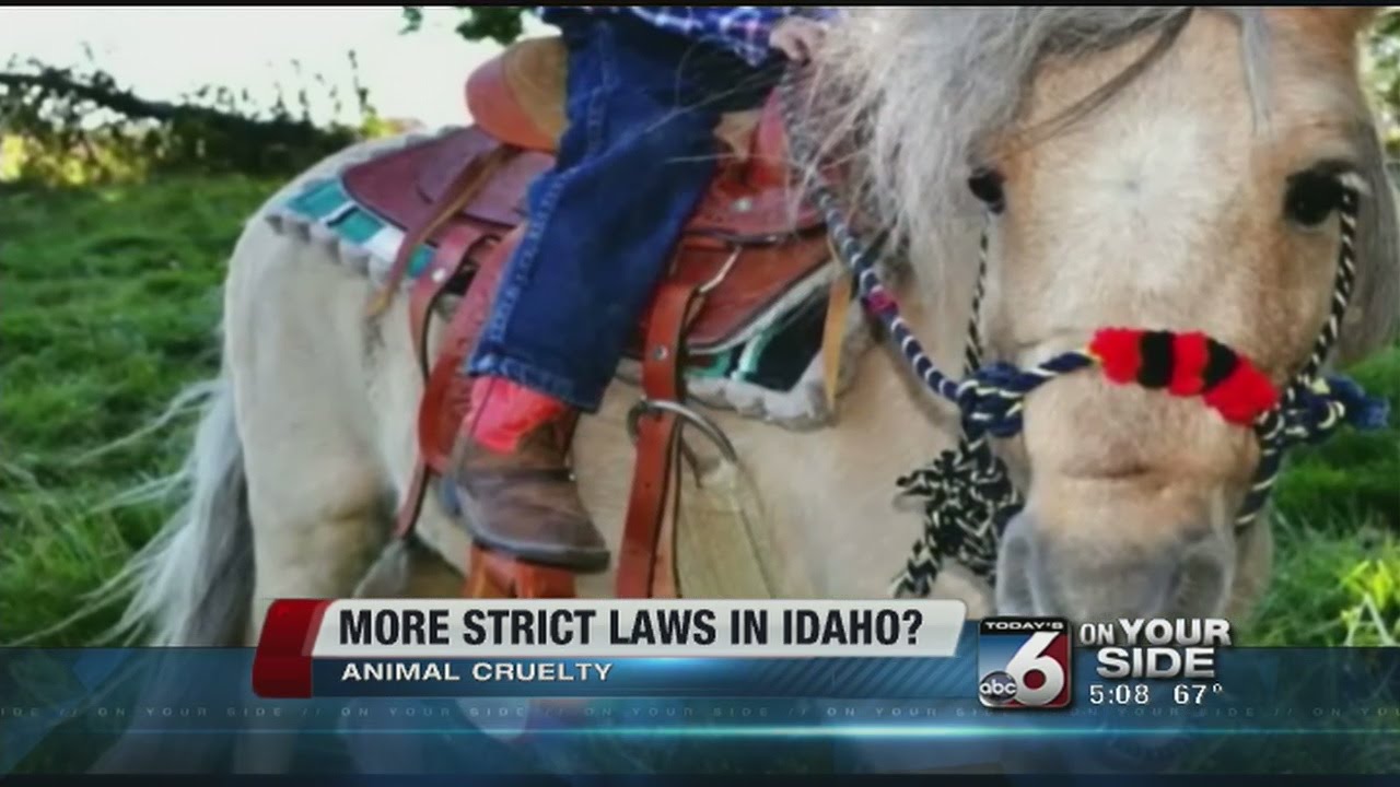 Idaho director of Humane Society urges for more strict animal cruelty