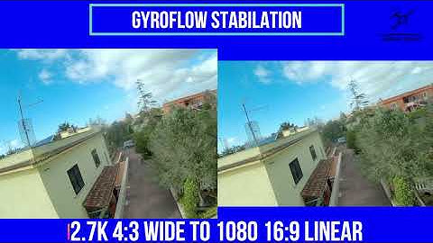 Demo Gyroflow Stabilization (ReelSteady Free)