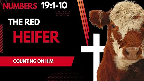 The Red Heifer: A Prophetic Foreshadowing of Christ in Numbers 19:1-10