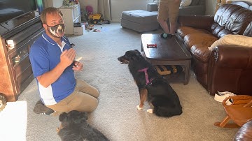 Marshall and Layla Learn the Engage Disengage Game