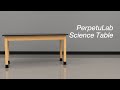PerpetuLab Science Table | Features in Action