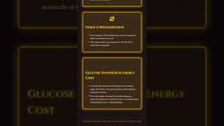 Light-independent reactions: Calvin cycle C3 pathway mechanism