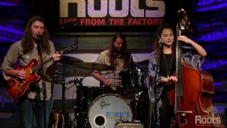 Cicada Rhythm "Dirty Hound"