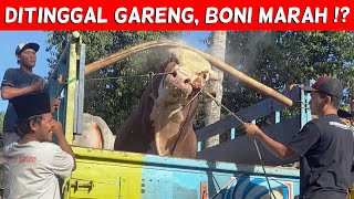 MENGIKUTI JEJAK MBAH GARENG | SENO & BONI BERANGKAT KE ARAH BARAT