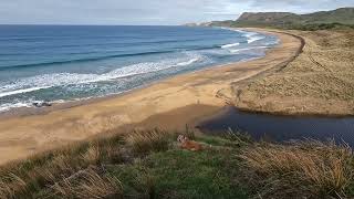 Pitt Island beaches