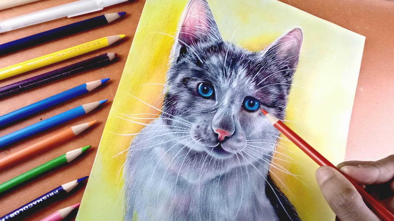 How to draw realistic cat for beginners - YouTube