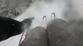 Madarasi Hargita Csutakos 2022