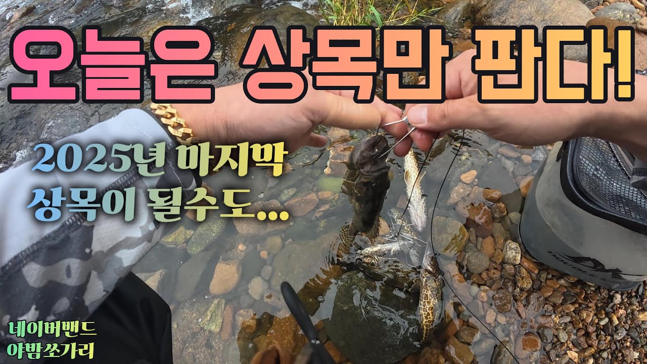 오늘은 상목만 팔께요~