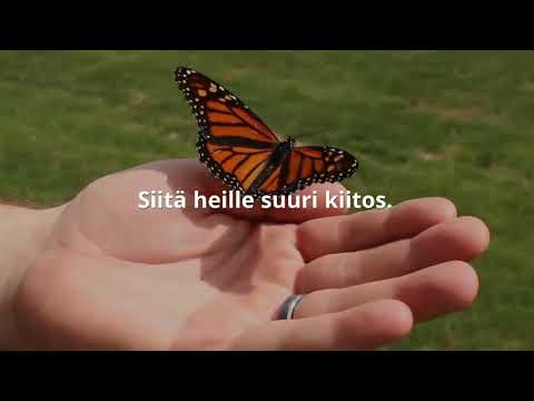 Video: Pitäisikö olla molemminpuolista kunnioitusta?