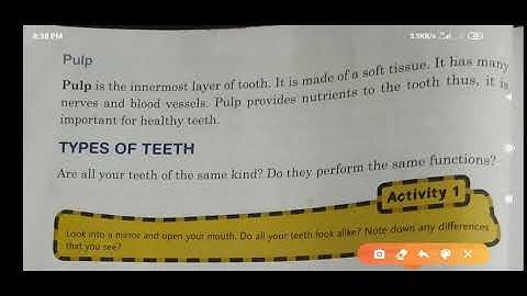 Science class- 4  lesson- 7  (Our teeth and microbes)