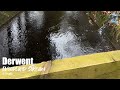 🌲💧 Derwent Stream Water Ambience (6 HOURS) Calming Nature & Water Sounds – Instantly Sleep