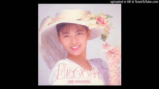 南野陽子 - シンデレラ城への長い道のり (Single)