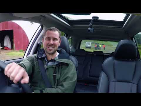 2019 Subaru Forester Review: The original family SUV is all grown up.