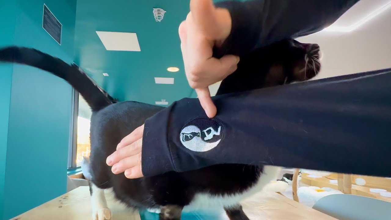 Tricking Logo Design Tips