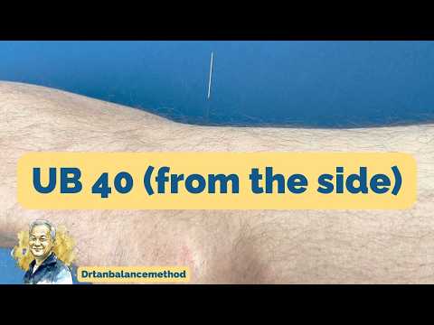 UB 40: The Side Door to the Lower Back