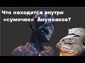 Что находится внутри «сумочек»  Ануннаков?