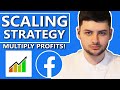 My profitable facebook ads scaling strategy 2024 shopify dropshipping