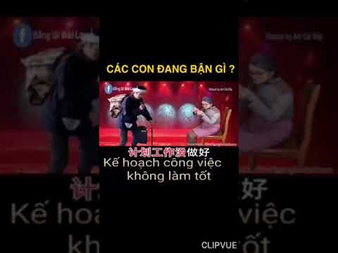 Bài Hát Hít Nhạc Hoa Lời Việt Lấy Đi Hàng Triệu Nước Mắt