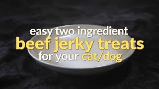 Information Cooking for Peeta (Episode 5) Easy two ingredient beef jerky treats! News