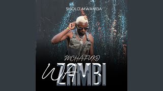Mchafuko Wa Zambi