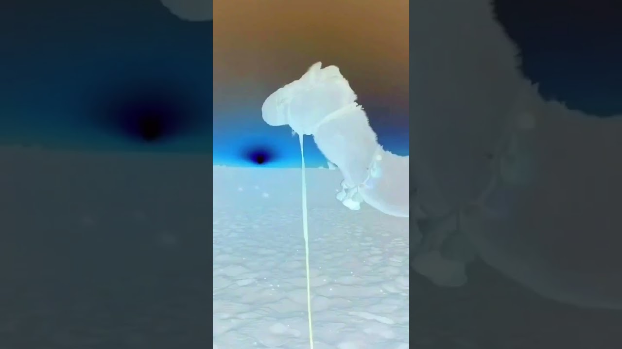 A city of wonder,blending traditional Arabian culture with modern sophistication! 