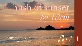 10cm - hush of sunset  |  chumma covers pt. 001 ♪ ༘⋆