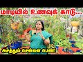Chennai womens terrace garden adventure learn terrace gardening in tamil  pasumai vikatan