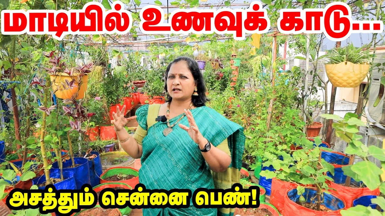 Chennai Women's Terrace Garden Adventure: Learn Terrace Gardening in Tamil | Pasumai vikatan