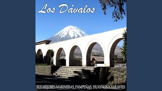 Video thumbnail of "Los Dávalos - Los Pajarillos del Campo (Huayno)"