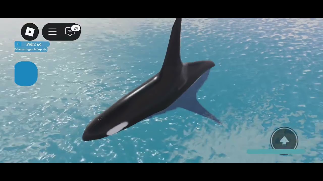 Bocil random main game 🦈robrox