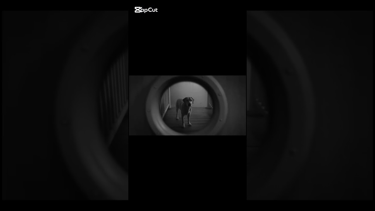 No sabía si abrirle o llorar 😨