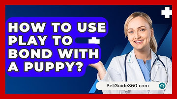 How To Use Play To Bond With A Puppy? - PetGuide360.com
