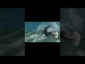 Couscous Swell - A Moroccan Surf Story (Trailer)