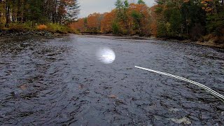 Swinging Streamers for Aggressive Sea Run Brown Trout (Salters)