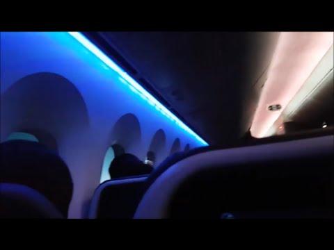 15 hour flight! Sydney to LAX
