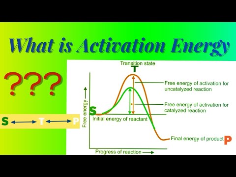 सक्रियता ऊर्जा काय आहे ??? / व्याख्या / महत्व / कसे एन्झाइम कमी सक्रिय ऊर्जा