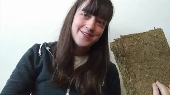 Making Paper from Invasive Plants: Controlling Johnson Grass