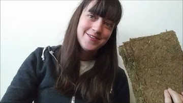Making Paper from Invasive Plants: Controlling Johnson Grass