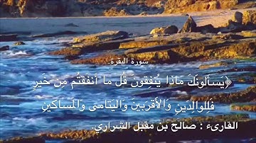 سورة البقرة | الشيخ صالح مقبل الشراري.