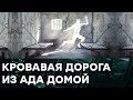 Кому удается сбежать из Донбасса ЖИВЫМ? ОПАСНАЯ ДОРОГА НА СВОБОДУ — Гражданская оборона на ICTV