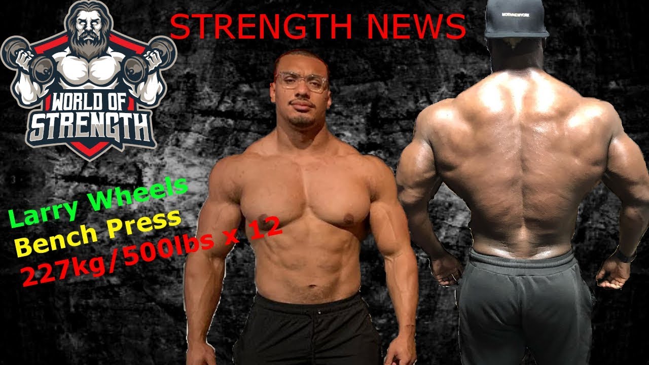 LARRY WHEELS 227kg/500lbs x 12 BENCH PRESS PR !! STRENGTH NEWS !! YouTube