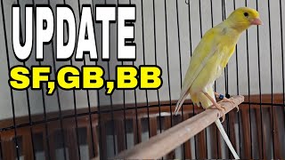 JANGAN SAMPAI DI SKIP NANTI MENYESAL..