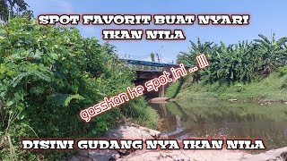 Gila Ikan Nila Di Sini Banyak Banget