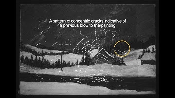 Time-lapse Video of Deterioration: Oil Painting, Incorrect Relative Humidity