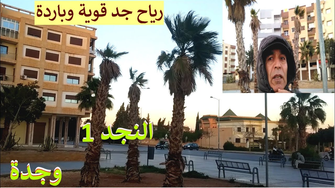 رياح بدون غبار جد قوية وباردة بوجدة هل هذه الرياح القوية هي الأقوى مند بداية عام 2025؟  بحي النجد 1