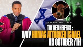 The Red Heifers  Why HAMAS Attacked Israel On October 7th | Prophet Uebert Angel