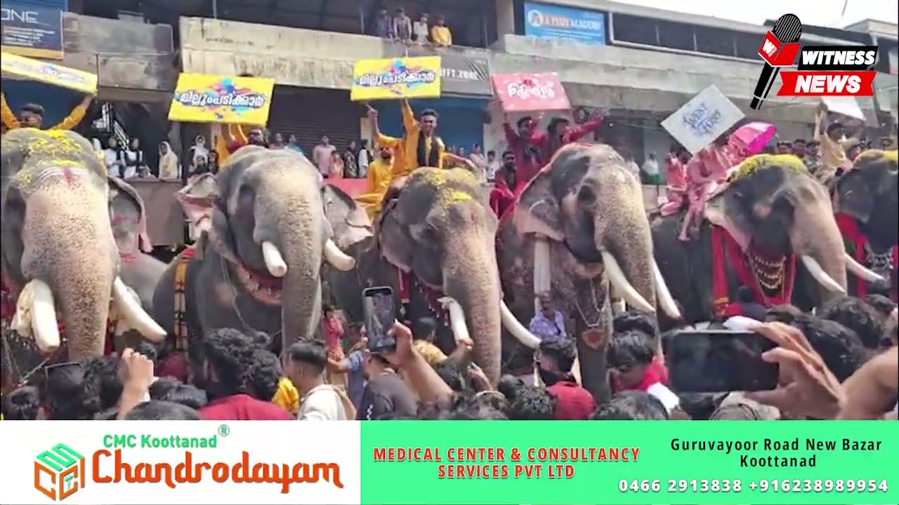 തൃത്താല ദേശോത്സവത്തിൻ്റെ ഭാഗമായി നടന്ന ഗജ സംഗമം ആവേശക്കാഴ്ചയായി